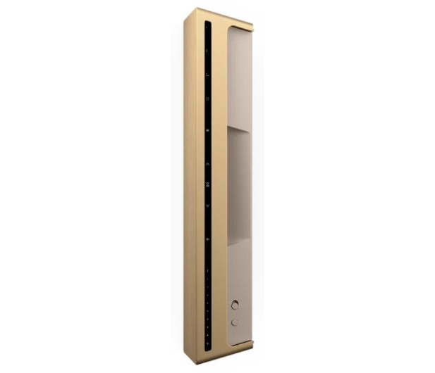Bang & Olufsen Przenośny głośnik Beosound Level Gold Tone Alu/Light Oak - 718488 - zdjęcie 3